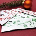 Winter- und Weihnachtslose (Auslaufartikel)
