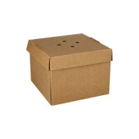 200 Burgerboxen, Pappe "pure" 10 cm x 13 cm x 13 cm braun faltbar, klein
