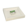 250 Fingerfood - Teller, Zuckerrohr "pure" eckig 1,5 cm x 20,3 cm x 20,3 cm weiss