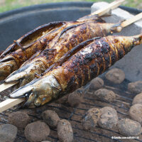 200 Grill-Spieße "pure" 80 cm x 8 mm x 8 mm "Steckerlfisch"