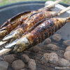 200 Grill-Spieße "pure" 80 cm x 8 mm x 8 mm "Steckerlfisch"