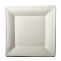 144 Teller, Zuckerrohr "pure" eckig 26 cm x 26 cm weiss