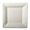 144 Teller, Zuckerrohr "pure" eckig 26 cm x 26 cm weiss