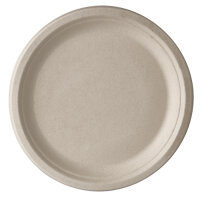 500 Teller, Zuckerrohr "pure" ungeteilt Ø 23 cm · 2 cm natur