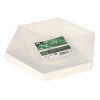 250 Teller Zuckerrohr "pure" 6-eckig 2,5 cm x 26 cm x 23 cm weiss "Diamond"
