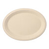 500 Teller, Zuckerrohr "pure" oval 26 cm x 20 cm x 2 cm natur
