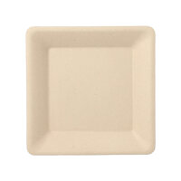 500 Teller, Zuckerrohr "pure" eckig 15,5 cm x 15,5 cm natur