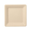 500 Teller, Zuckerrohr "pure" eckig 15,5 cm x 15,5 cm natur