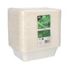 300 Schalen, Zuckerrohr "pure" ungeteilt 5,6 cm x 15,3 cm x 20,3 cm weiss