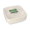 100 Teller Zuckerrohr "pure" 3-geteilt 5 cm x 22,8 cm x 22,8 cm