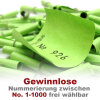 Röllchenlose grün, Farbenlotterie,  50 Gewinnlose, mögliche Nummerierung 1 - 1000 1 - 50