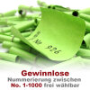 Röllchenlose grün, Farbenlotterie,  50 Gewinnlose, mögliche Nummerierung 1 - 1000 301 - 350
