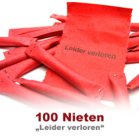 Sicherheitslose rot, 100 Nieten